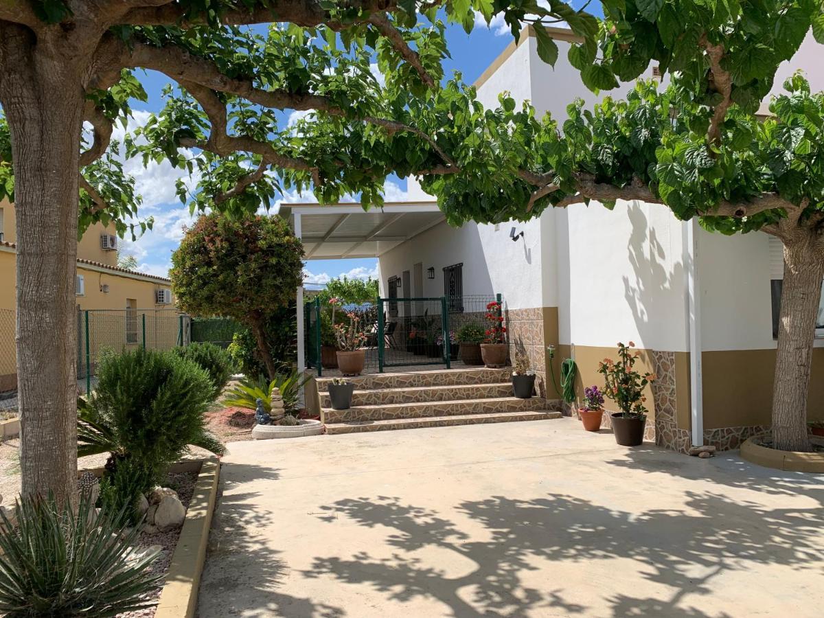 Casa Enric , Con Zona Infantil, Piscina Y Parking Privado Vendégház Deltebre Kültér fotó